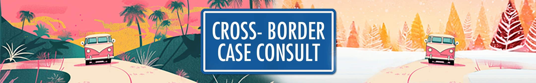 Cross-Border Case Consult Hero Image